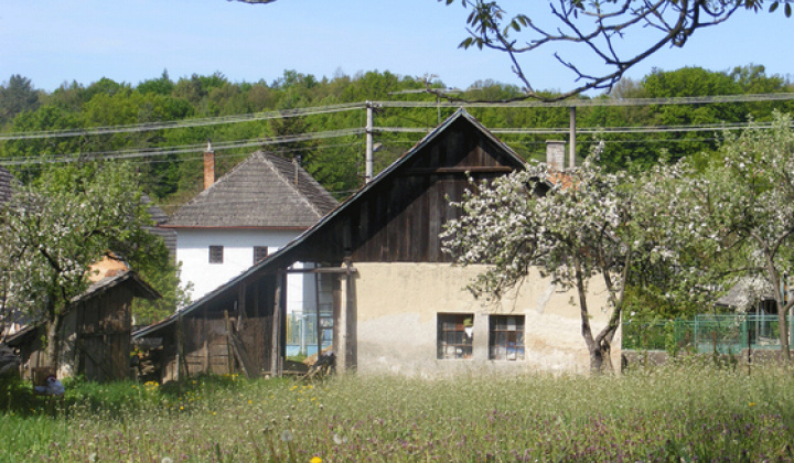 Staršia Radiša