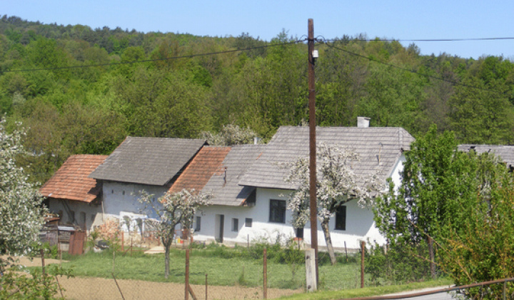 Staršia Radiša
