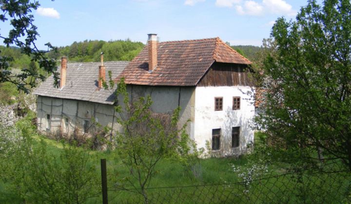 Staršia Radiša