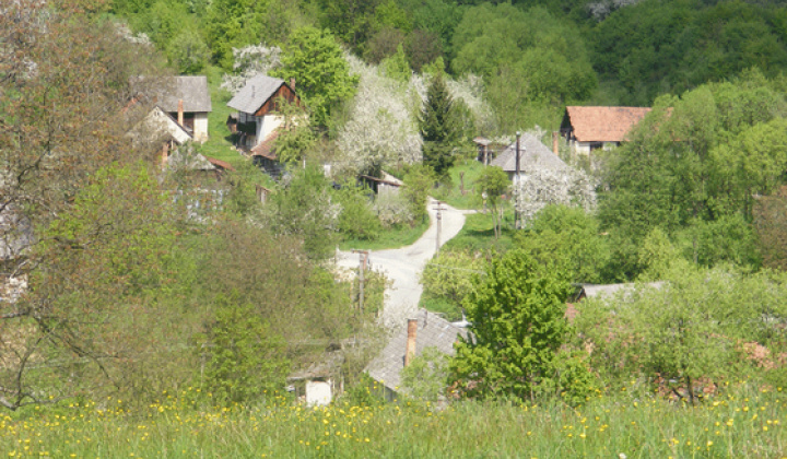 Staršia Radiša