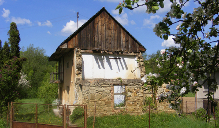 Staršia Radiša