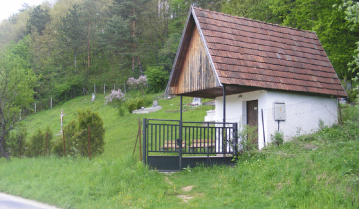 Staršia Radiša
