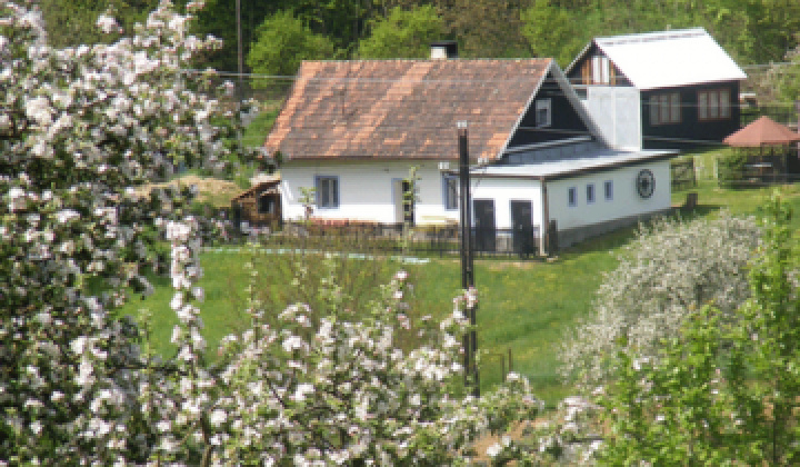 Staršia Radiša