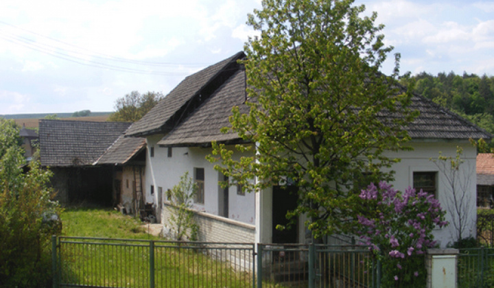 Staršia Radiša