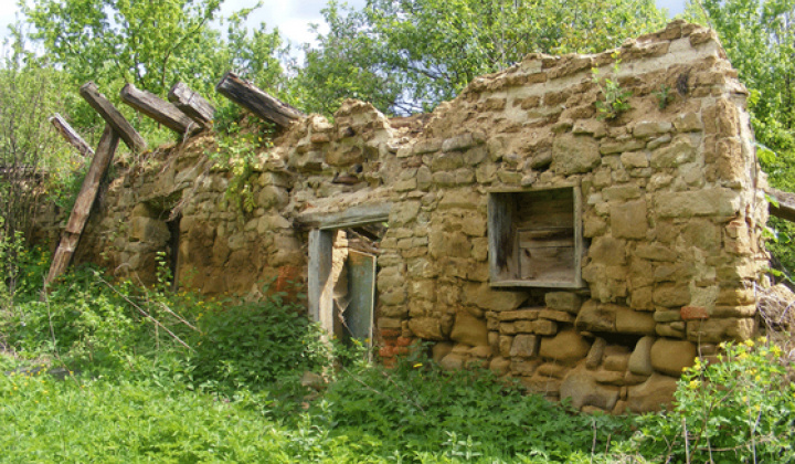 Staršia Radiša